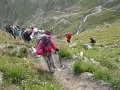 IMG_6286