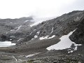IMG_6305